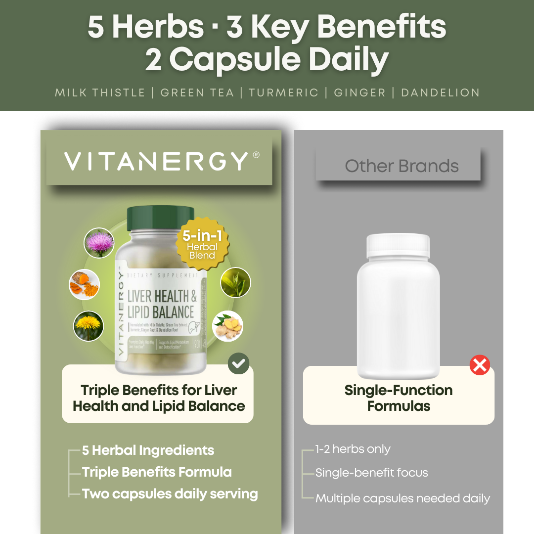 Vitanergy Liver Health & Lipid Balance – Milk Thistle, Green Tea, Turmeric, Ginger & Dandelion Root Extracts – Supports Normal Liver Function & Healthy Fat Metabolism – Made in USA, 90 Capsules
